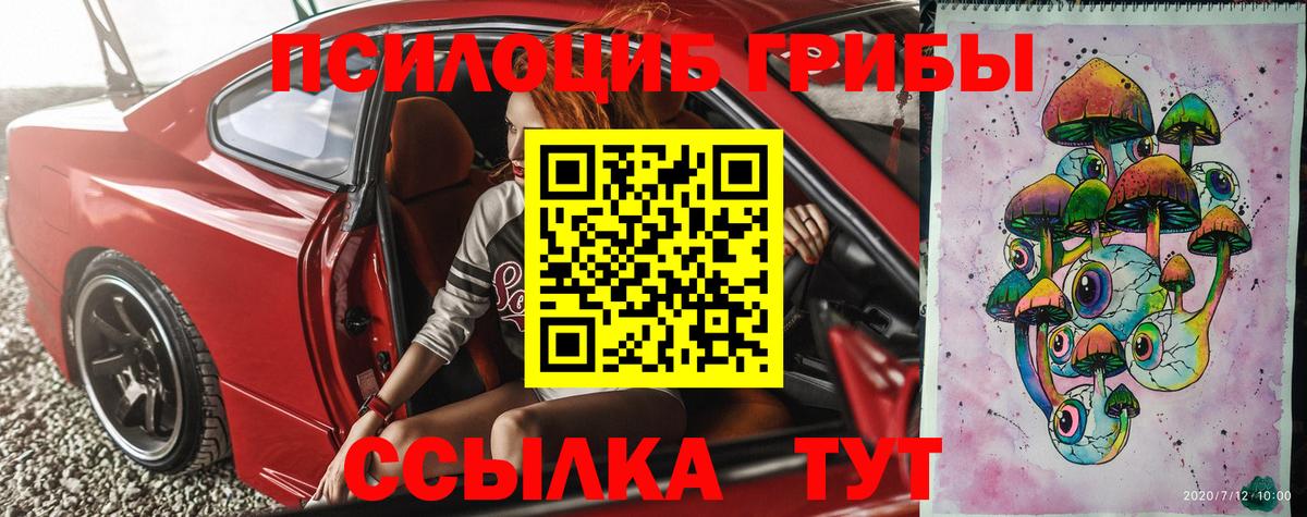 Псилоцибиновые грибы Psilocybe Нурлат