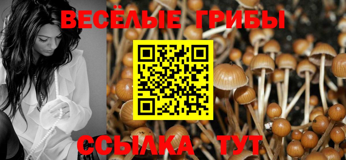 Псилоцибиновые грибы Magic Shrooms  Псилоцибиновые грибы прущие грибы  Нурлат  Вход с VPN 