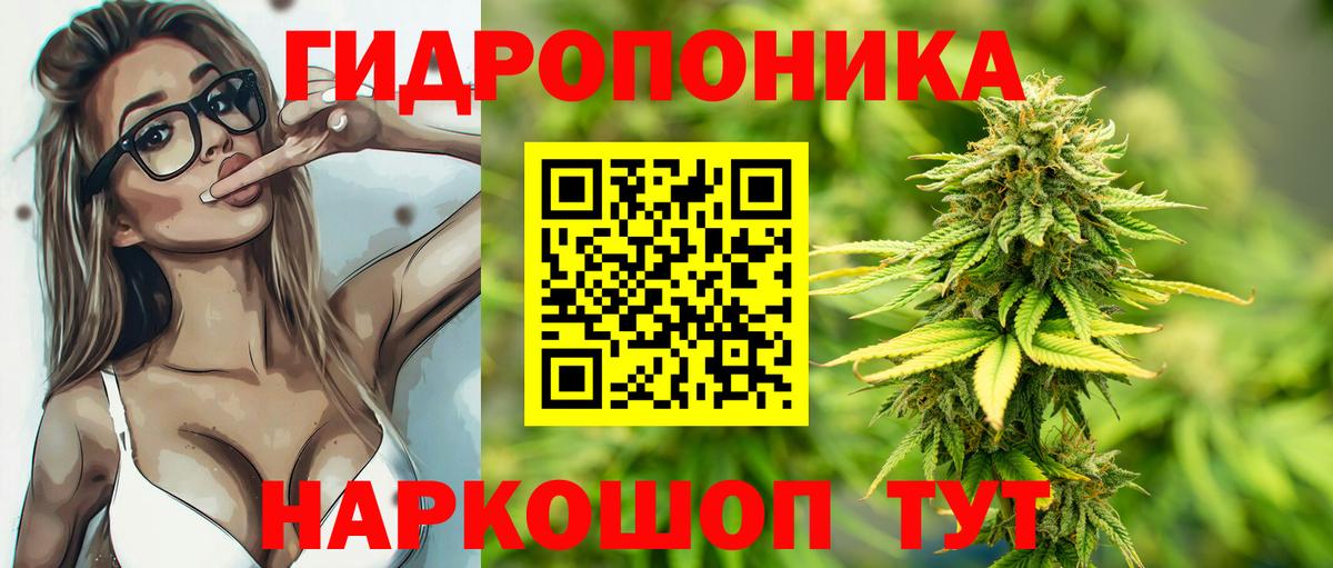 Нурлат  Шишки марихуана марихуана  Шишки марихуана тримм  Конопля White Widow  Конопля OG Kush  Вход с VPN 